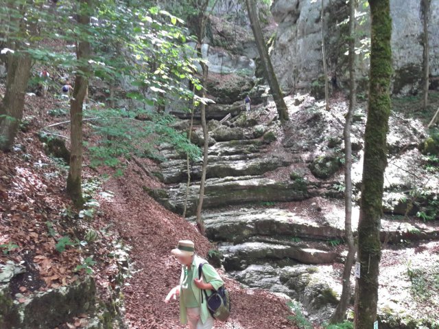 20190722_120921hdr_look imagek